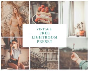 Vintage Vibe Free Lightroom Preset 100% www.Editingfree.com