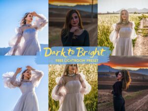 Dark to Bright Free Lightroom Preset 100% www.Editingfree.com