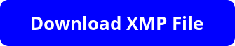Download XMP File of Preset